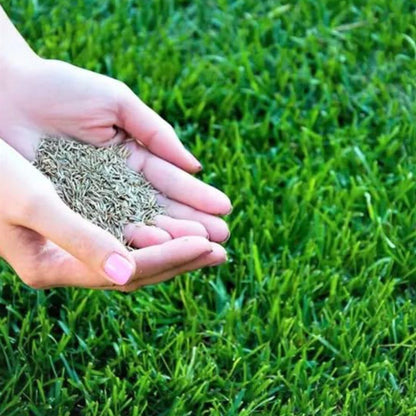 8977